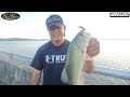 간만에 천수만 다녀왔습니다.역시 사각배스 bass fishing バス釣り