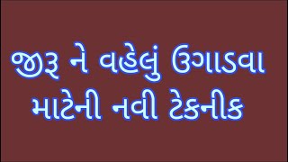 આજની કૃષિ માહીતી-જીરૂ ને વહેલું ઉગાડવા માટેની નવી ટેકનીક#cumin#jiru#agriculture#kheti#dava