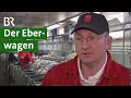 Künstliche Besamung im Schweinestall: günstiger und effektiver | Schweine Doku | Unser Land | BR