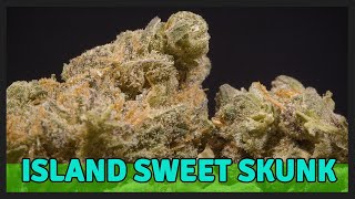 ISLAND SWEET SKUNK - Hybrid - THC 16.5%