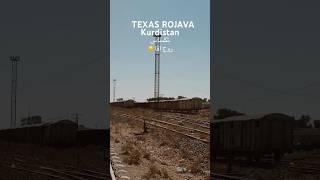 Texas USA Rojava Kurdistan ​⁠​⁠#qamishlo #texas #usa #rojava #kurdistan #explore #trending #shorts