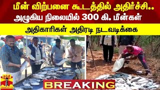 மீன் விற்பனை கூடத்தில் அதிர்ச்சி.. அழுகிய நிலையில் 300 கி. மீன்கள் - அதிகாரிகள் அதிரடி நடவடிக்கை