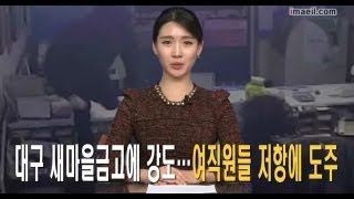 매일영상뉴스 121224