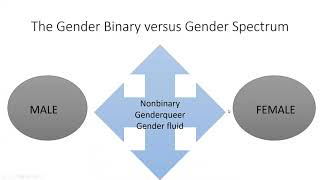 Language for a Gender Expansive World - Dr. Andi Kent - Fall 2021