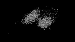 Flocking simulation test
