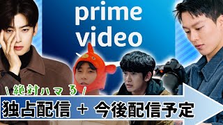 【Amazonプライム】今一番アツイ動画配信サービス？💙💚