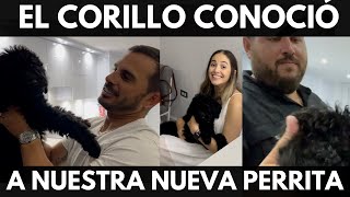 LE PRESENTAMOS LA PERRITA NUEVA AL CORILLO | VLOG 206 | Alejandro Gil