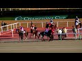 【live】中京競馬場◆第１８回チャンピオンズc g1 ★本馬場入場