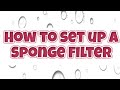 How To Set Up A Sponge Filter (Very Easy)