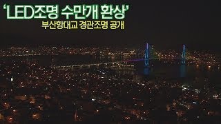 부산항대교 야경 경관조명 공개 'LED조명 수만개 환상'