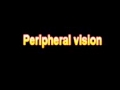 What Is The Definition Of Peripheral vision Medical School Terminology Dictionary