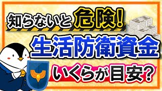 【知らないと危険】生活防衛資金はいくらが目安？おすすめの貯蓄用口座もあわせて解説！