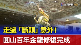 走過「斷頭」意外！ 圓山百年金龍修復完成