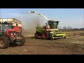 vezelhennep hakselen door dun agro uit oude pekela