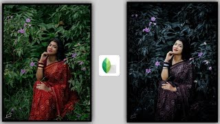 How to Create Black Backgrounds in Snapseed