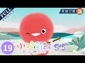 【ENG SUB】我能参加吗 Can I come, too | 《小鸡彩虹》Rainbow Chicks  S5 EP19