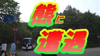 【MT-09　モトブログ】＃４６熊に遭遇