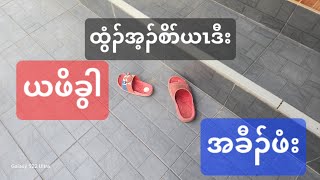 ဖိပၢ်ခံဂၤခီၣ်ဖံးအိၣ်တ့ၢ်ခံခီလီၤ 22/1/2025