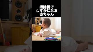 【育児ハイライト】掃除機で静かになる赤ちゃん #baby #癒し #日常 #newborn #かわいい #shorts