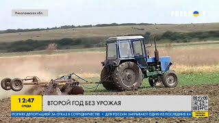 Урожая не будет? Какие потери понесли фермеры Николаевской области после подрыва Каховской ГЭС?