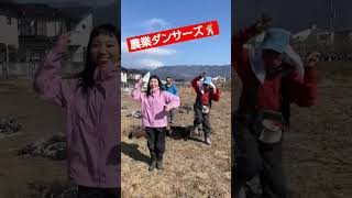 農家さんは踊るんです！？🎥動画提供🎥さがらまみ/農園/danceさん。（カット編集済み）#農業 #farmer #agriculture #農girl農life #ダンス