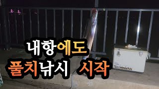 은빛 풀치 반갑구만!  올해도 자주 얼굴 보자.