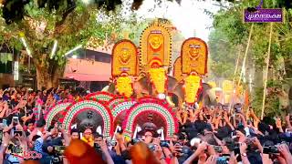 The Royal Entry | Dharmaraksha Padinjaran Desham | Anayadi Pooram 2K19