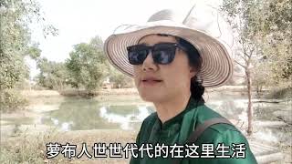 游览居住在塔里木河畔海子边，新疆最古老的民族之一，罗布人村寨