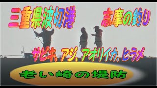 三重県波切港　志摩の釣り　サビキ、アジ、アオリイカ、ヒラメ