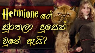 Hermione ගේ සුරතලා Crookshanks ගැන | Story of Hermione's Crookshanks | Sinhala | Harry Potter