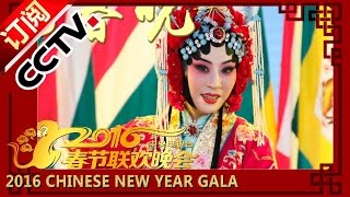 2016 Chinese New Year Spring Festival Gala [Monkey]