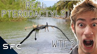 Pterodactyls Still Exist! | Flying Dinosaurs! | The Conspiracy Show | S4E04