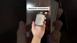 6 perfumes económicos wow #perfume #wow #omg #shorts