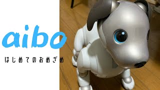 【aibo】初起動！お目覚めの瞬間を撮ってみた