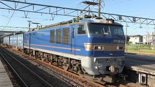 【Japan Railway】北越コーポレーション・ガレオンアース積載 4059レ EF510-503牽引