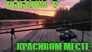 Ловля карпа в красивом месте \