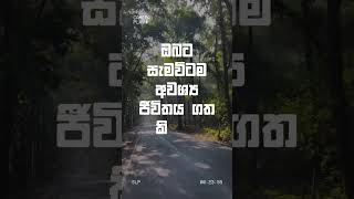 ඔබට අවශ්‍ය ජිවිතය හදාගන්න! | Charitha Dissanayake