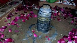 Kamalpur Gaon Mein Bholenath ki Shivling Nikli