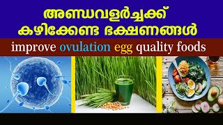 super  foods to improve egg quality | അണ്ഡവളര്‍ച്ചക്ക് കഴിക്കേണ്ട ഭക്ഷണങ്ങള്‍ | improve egg quality