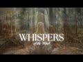 Whispers of the Wind: A Dreamy Shamanic Soundscape | Autumn Equinox 🍁