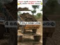 పొద్దు తిరుగుడు సాగు విధానం sunflower cultivation making of sunflower oil shorts sunflower