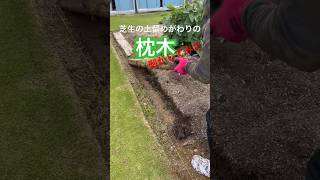 【GARDENING】芝生の土留めがわりの枕木を剥がしてみた。#芝生#芝#芝生の手入れ #芝生広場 #芝生の育て方#TURF#土留め#枕木#芝の育て方#きわ刈り