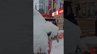 کینیڈا ٹورنٹو شہر شدید ترین برف باری کے بعد  Toronto After the Season’s Heaviest Snowfall