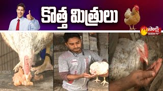 చికెన్ సెంటర్ ఓనర్ తో కోడి ఫ్రెండ్ షిప్ | HEN Friendship With Chicken Shop Owner | Sakshi TV