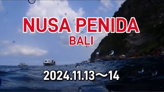 NUSA PENIDA 2024.11.13〜14 Yosuke'sDivingLog