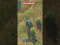 Best Weed Farming & Drug Selling Script for QBCore & ESX!