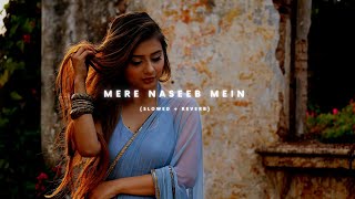 Mere Naseeb Mein - (Slowed + Reverb) | Tu Hai Ki Nahi | THE SOLITARY MUSICA