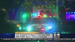 Pellet Gun Shooting Hurts Officer
