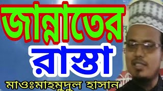 মাওঃমাহমুদুল হাসান,ইসলামের মধ্যে কোন পথ সঠিক,অসংখ্য রাস্তার মধ্যে এই রাস্তা সঠিক,