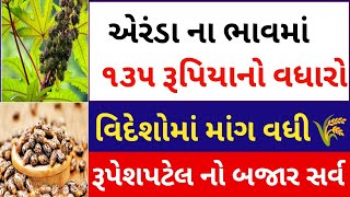 Arenda na bhav |18-06-2024 |એરંડા નાં ભાવ:2024 | information about arenda price| coster price trade